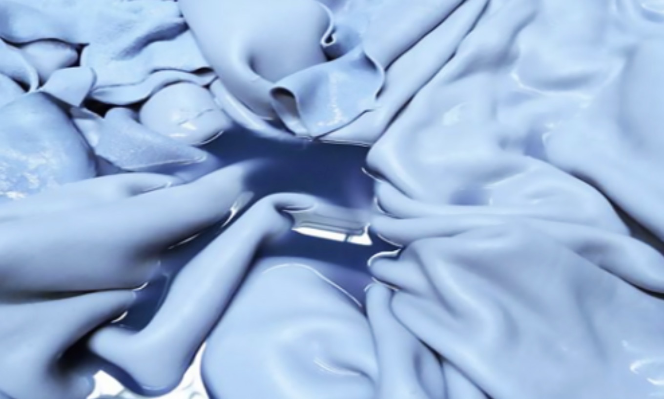 Wet blue skins